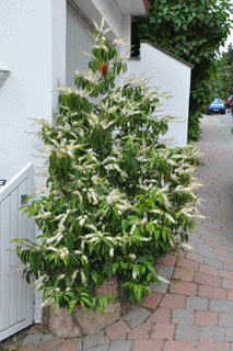 bild22