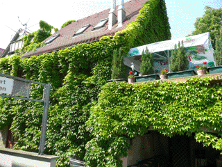 fassade04