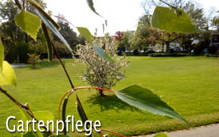 gartenpflege