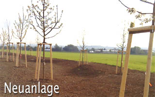 neuanlage