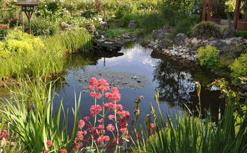 teich01