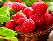 himbeeren